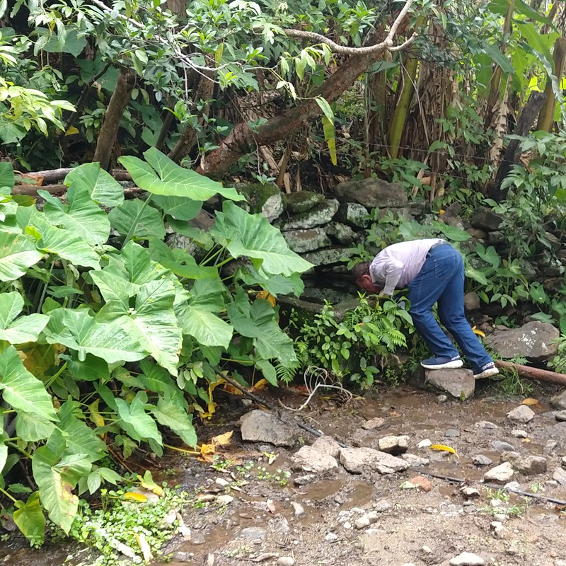 Ecosistema