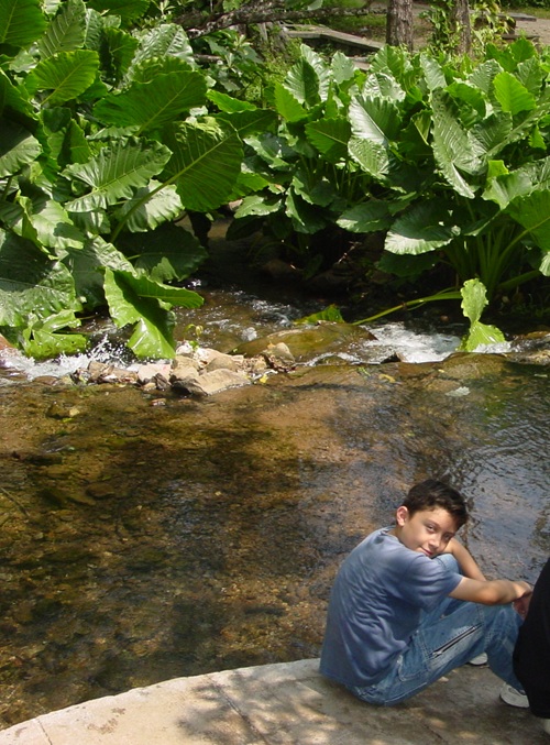 Agua